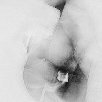 LOVE FREQUENCY
