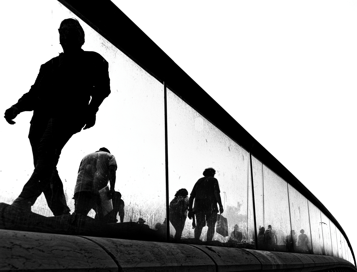 shadow bridge