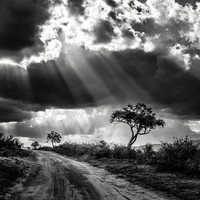 Modern Maasai