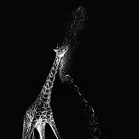 Dancing in the dark
