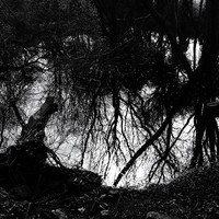 EDGELANDS_