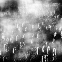 EDGELANDS_