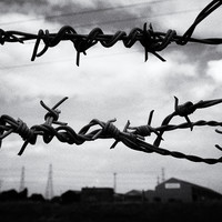 EDGELANDS_