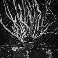 EDGELANDS_