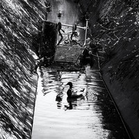 EDGELANDS_