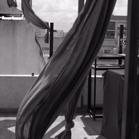 A(v)gust of wind