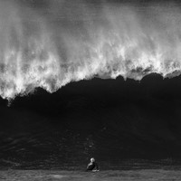 The Wave