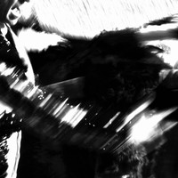 Le chant du cygne