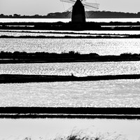 the salt pans of Marsala