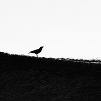 Isolation