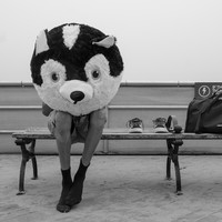 Coney Island