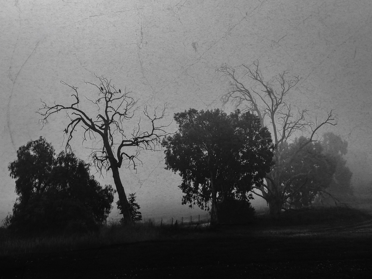 Between Here and Elsewhere 