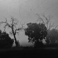 Between Here and Elsewhere 