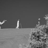 Life at the Camel Festival