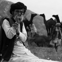 Life at the Camel Festival