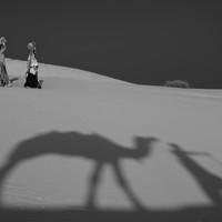 Life at the Camel Festival