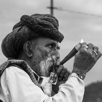 Life at the Camel Festival