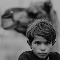 Life at the Camel Festival