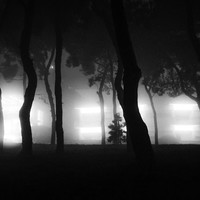 The Space In Between