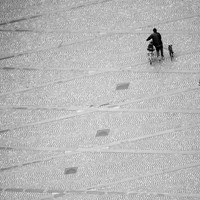 Following the squares