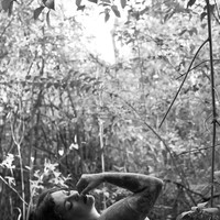 Dryad