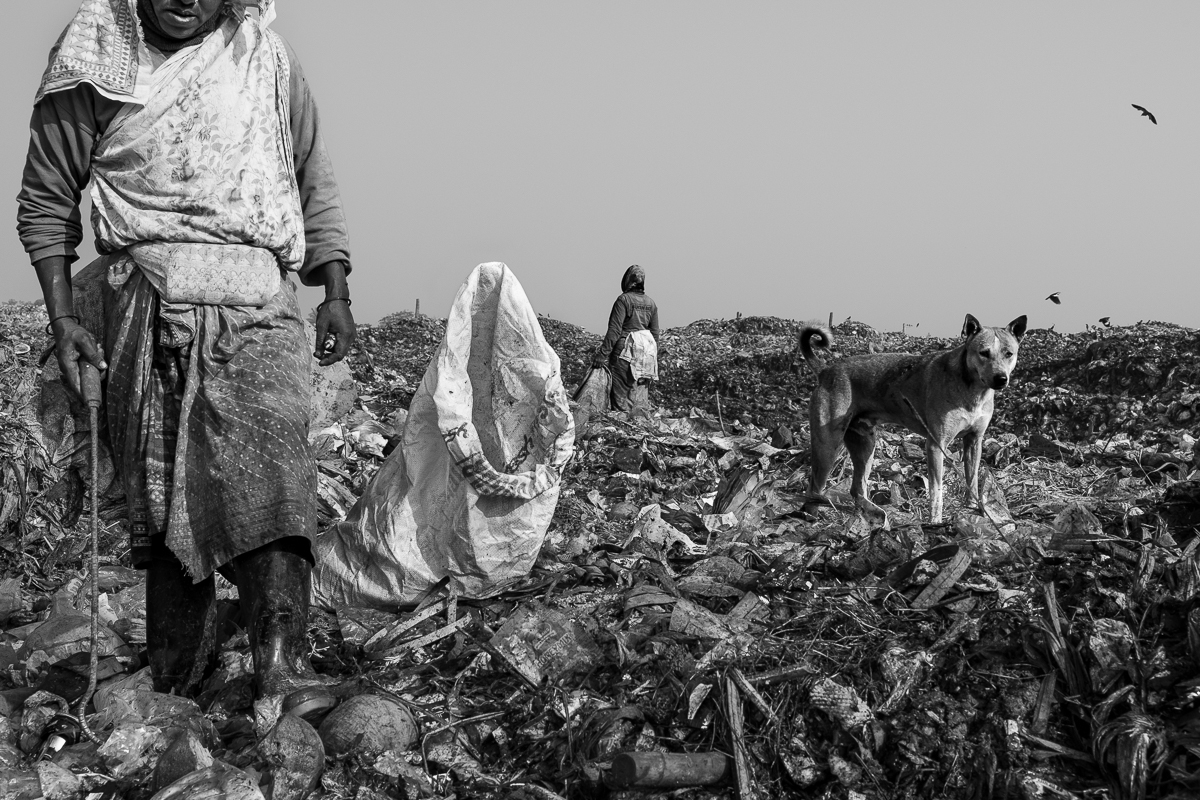 Waste island