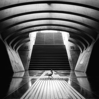 The commuting Pigeon 