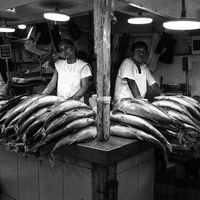Atmosphere of the Market: Vendors and Fish.