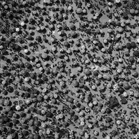 Crowded beach
